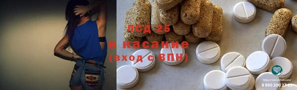 прущие грибы Алексеевка