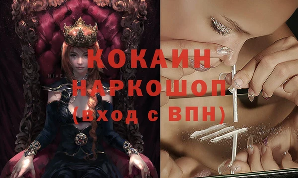 соль ск Алексин