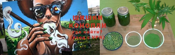 прущие грибы Алексеевка