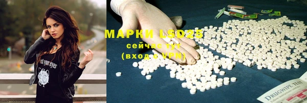 круглые Алзамай