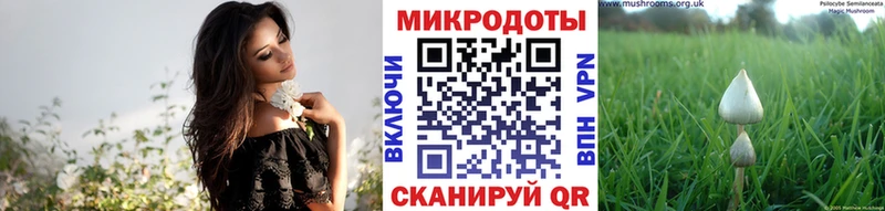 Галлюциногенные грибы мицелий  Арск 
